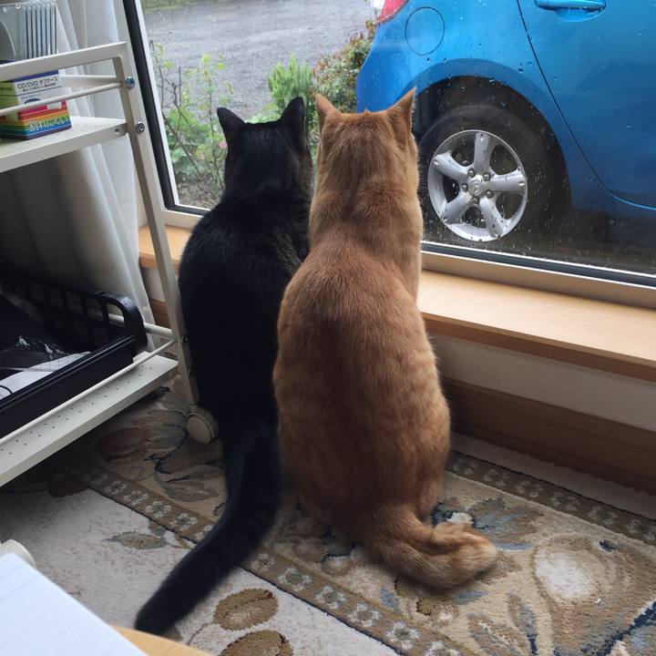 F20112e5 1a03 4c54 b7ef 736ee540253e 1527176508121