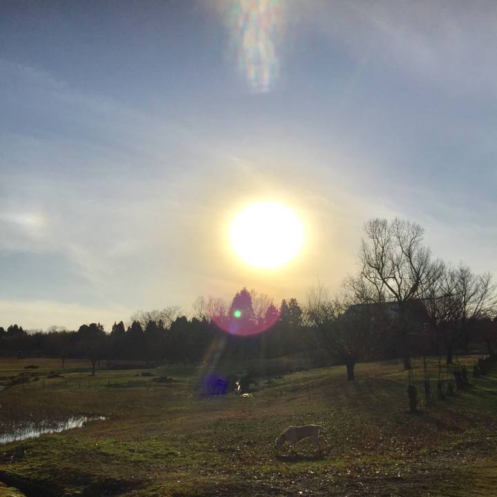 F2011892 3ee9 45e4 9a55 1e06b025fa02 1545393234401