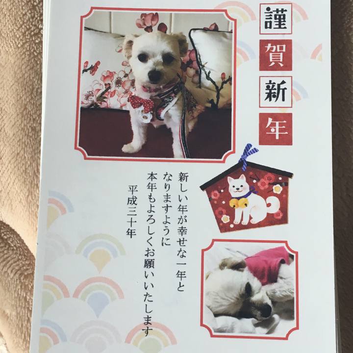 F2011d94 5f28 46de b9a8 aa1a9fd54ddb 1514779033091