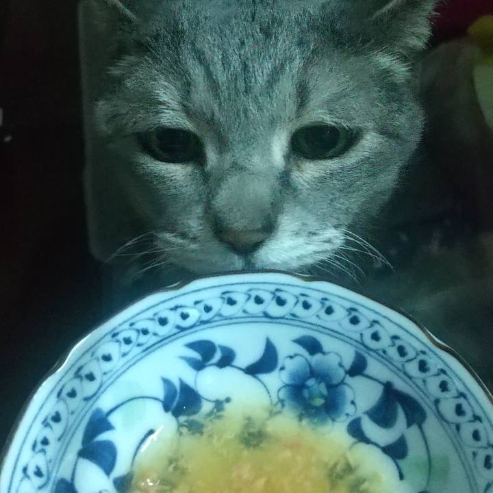 F2012281 9ab6 452d 816b 5fd86442593f 1679651592229