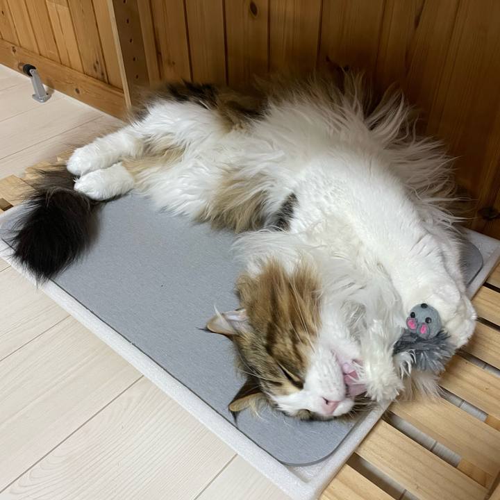 F2013d89 6cb3 4be9 8414 46a602fd7ac4 1684698755120