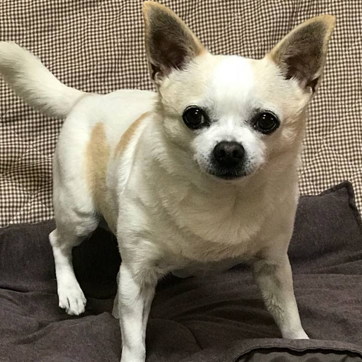 F201777e e6e0 4b44 85cd 2c53c8a2ee75 1513760361917