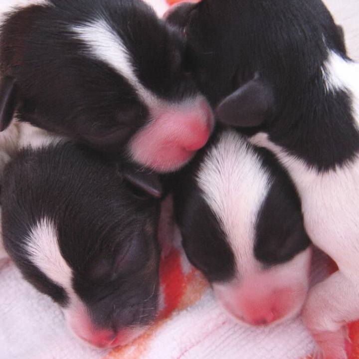 F2017e45 25c4 4136 9e15 2f4e3201775c 1513422748735