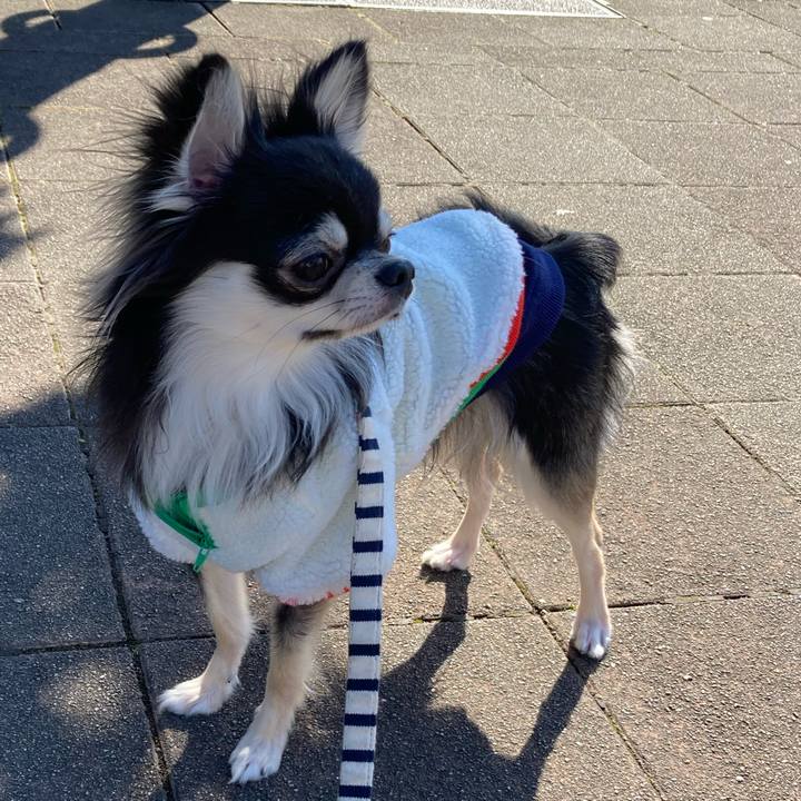 F201872a 1cf9 4e1b 8bb8 27cbdc959643 1612586912275