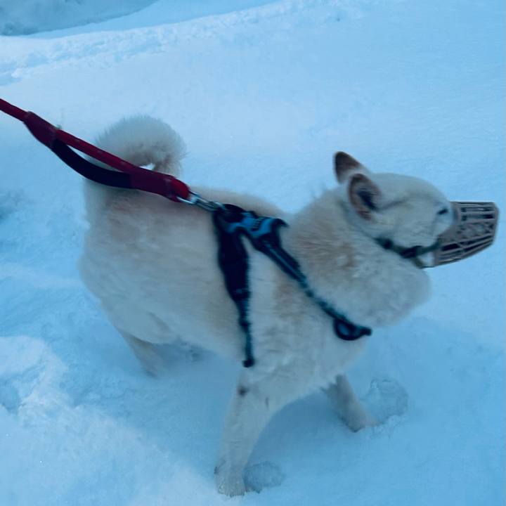 F201973c e219 4010 89d6 2f7cb406181d 1738103870456