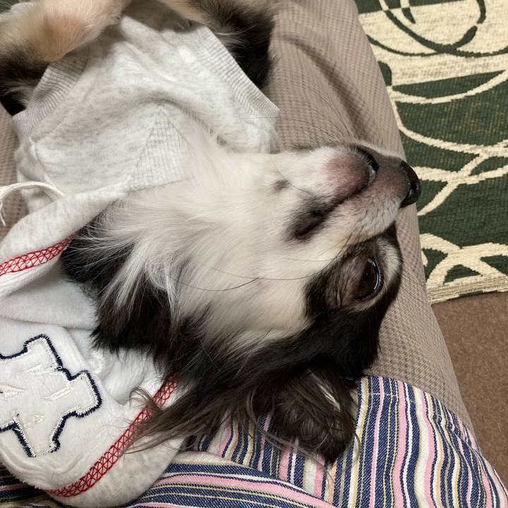 F201af27 67b0 44fb a9de e6ad740ee7b4 1642339283960