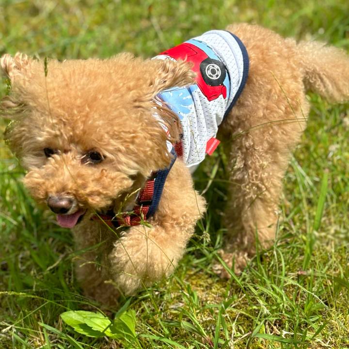 F201d0e9 e7a7 47db 81b1 5f0720e51a04 1717386488770