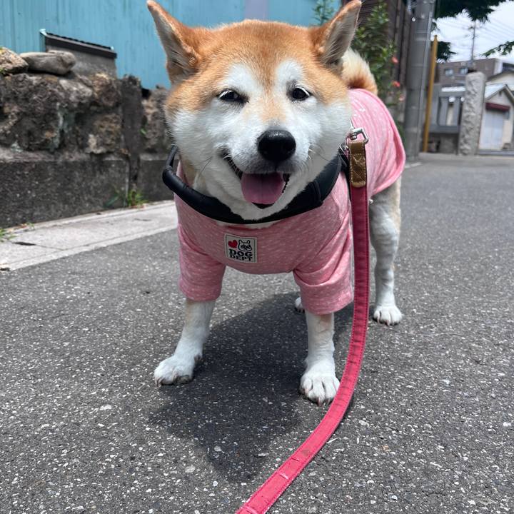 F201f8fe 0bff 4d82 a89d 7956824cd429 1717642752898