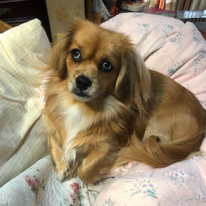 F201fd04 bdfe 4e49 8152 1b7910c52de7 1542320297275