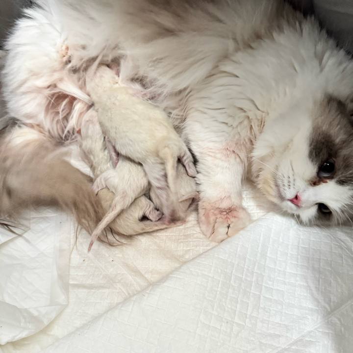 F2023138 77a2 44b7 a1f5 914eb9c04f93 1764229445630