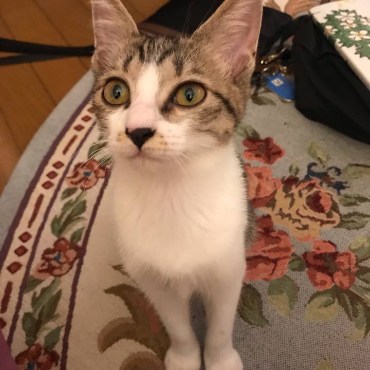 F20233cb e0ed 4a89 aa14 b11d4655d7b0 1599302686082