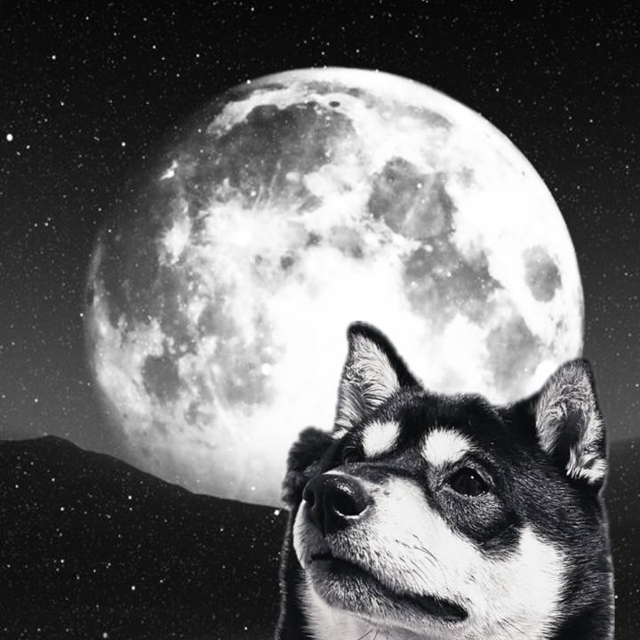 F2024879 562d 4c98 a25c a7ed6946d967 1741948755458