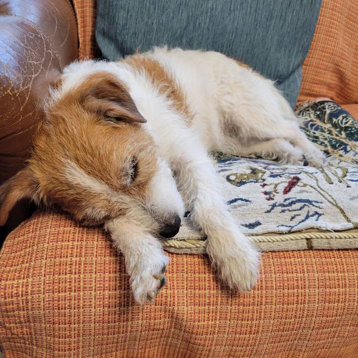 F2027032 0bf2 4802 ab83 81ecea111d1e 1711680497834