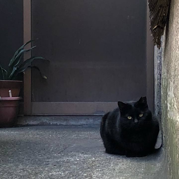 F2027e3e 9f30 4206 bc57 b3ab775b3b65 1519634138826