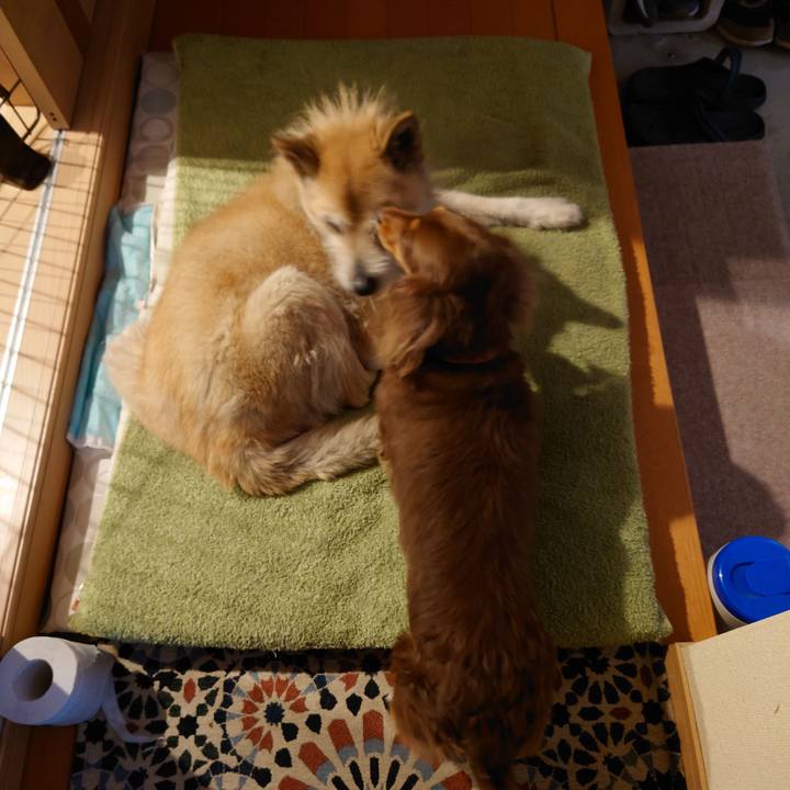 F2028992 70dc 4a71 bfe4 6bbfd9c6c5c5 1619495781030