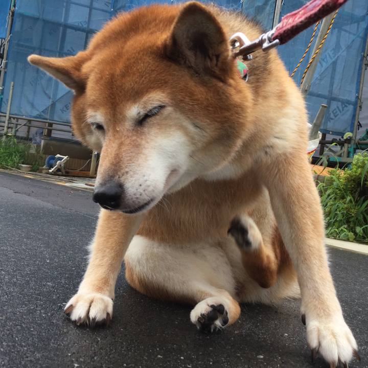 F202edc7 62f4 4003 ba85 a445471f0b66 1595735586707