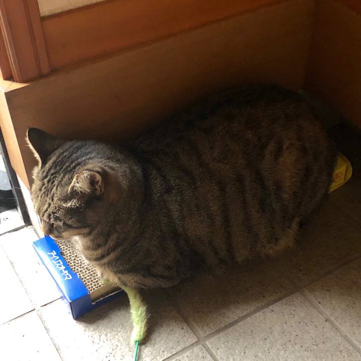 F202f949 8217 4f30 9e3c 9ad91eb21c09 1541723858480