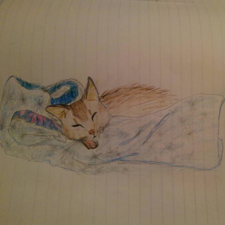 F2030773 5227 44d8 8921 a9224dc7d46d 1564650160101