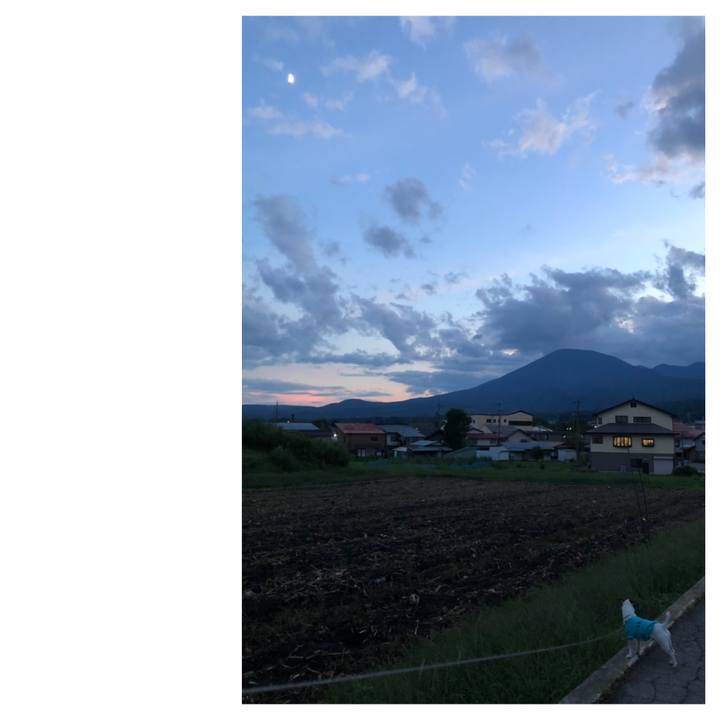 F203191e 9858 47c1 83b5 917dd62dc8ac 1567767496647