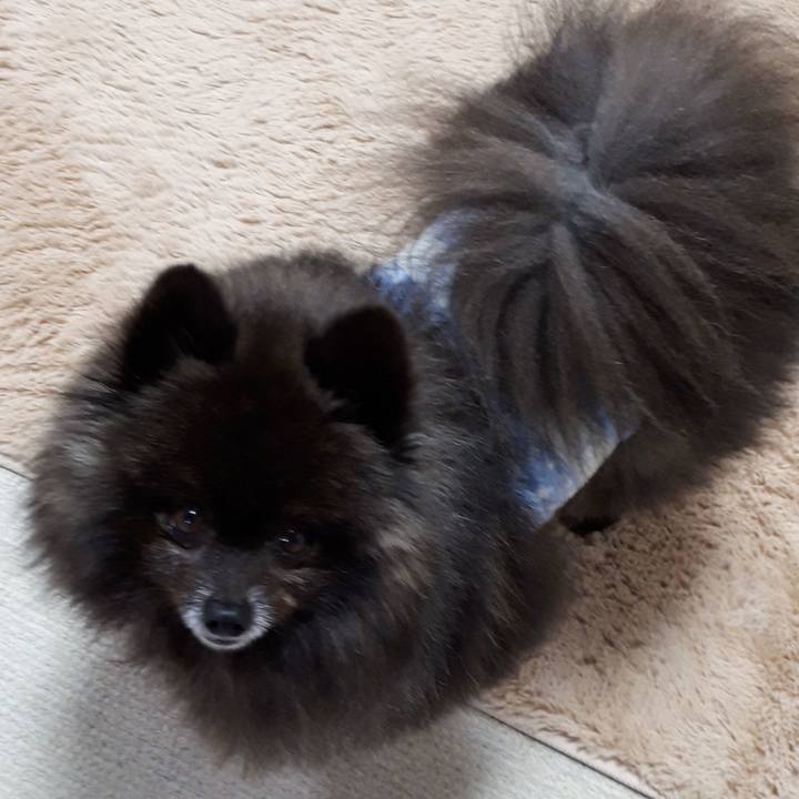 F2037cdb 3c11 4d5f bd72 46e94acdcda2 1520713439032