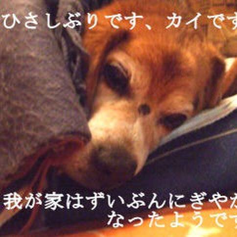 F20386a0 4130 4de4 9c42 9d15916f291d 1676247595624