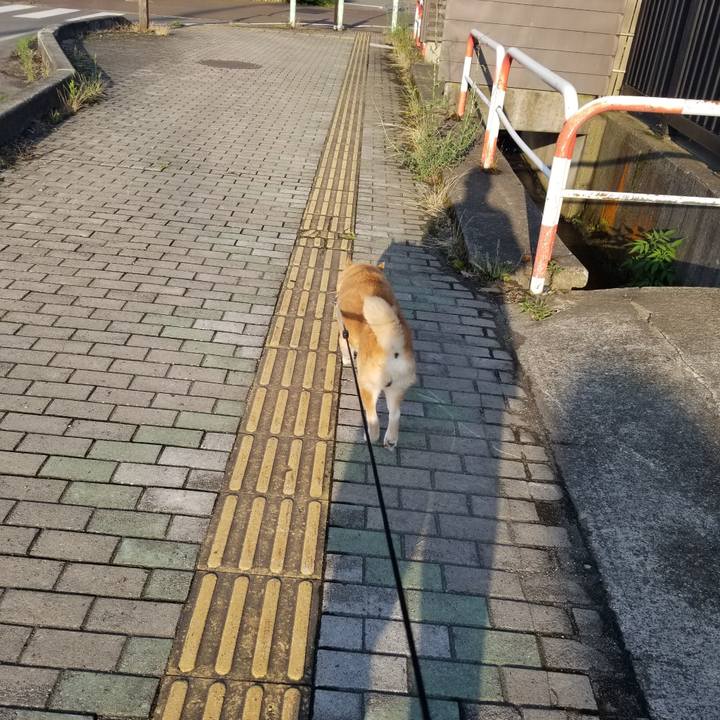 F203bc5c a863 4683 83a7 c715ee6d72f3 1751447836117