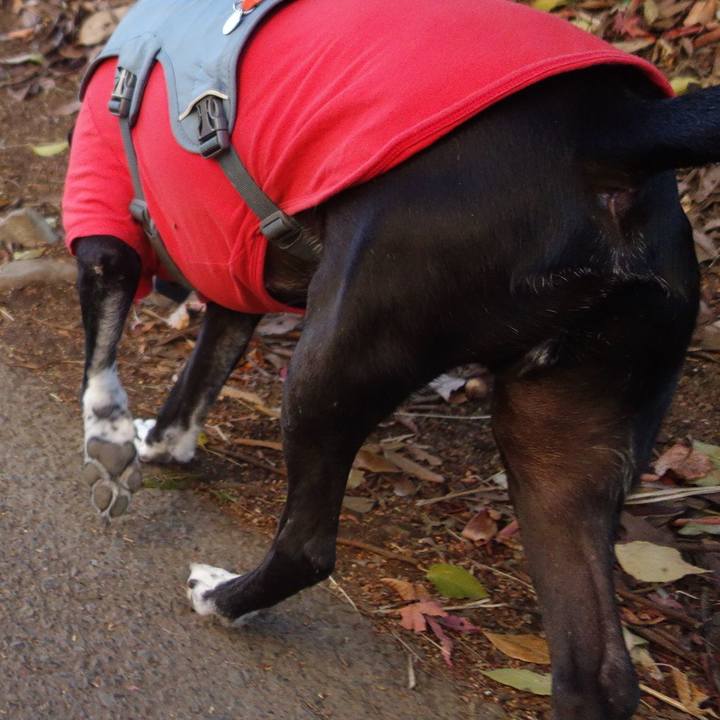 F203ffe0 9bfd 40a6 b1c0 0475c4bfe2b6 1734825261343