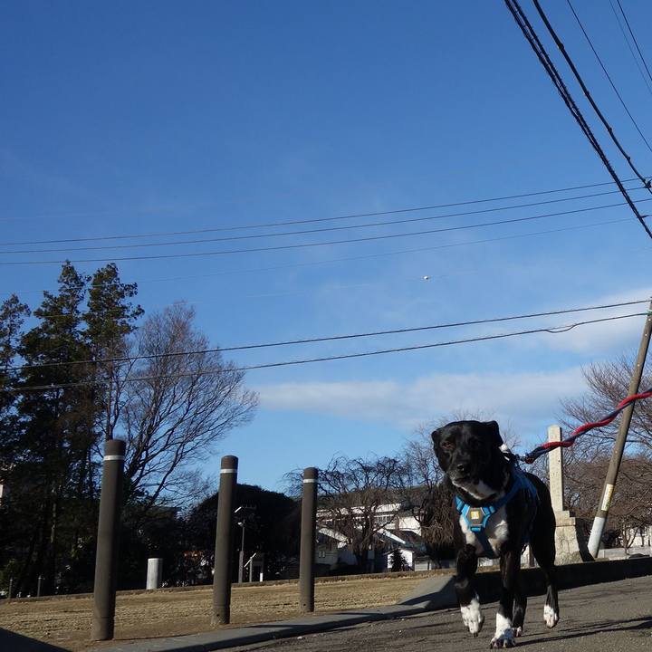 F204196b 27ff 4c45 9e2f f3f0204f349c 1615680354944