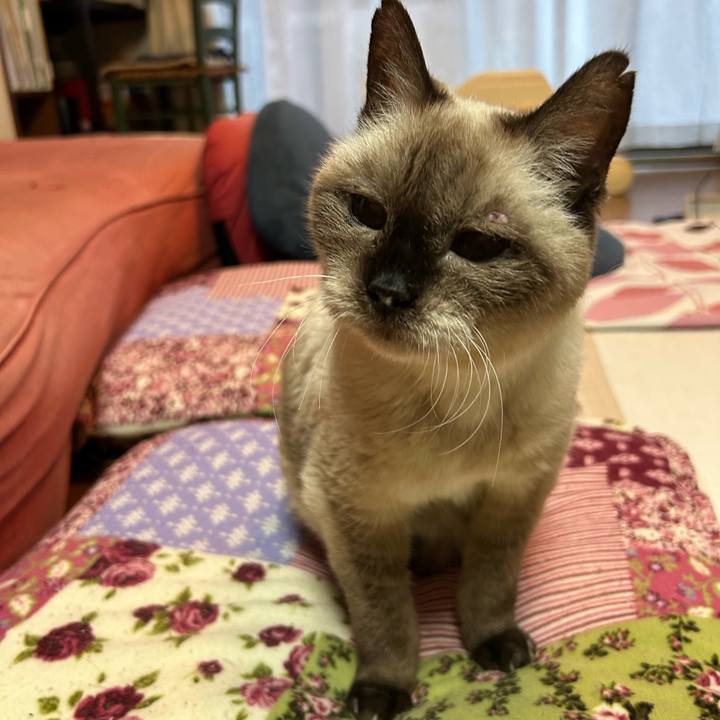 F20426a1 83be 478d 8f4c b1d3f3b80514 1696925721792