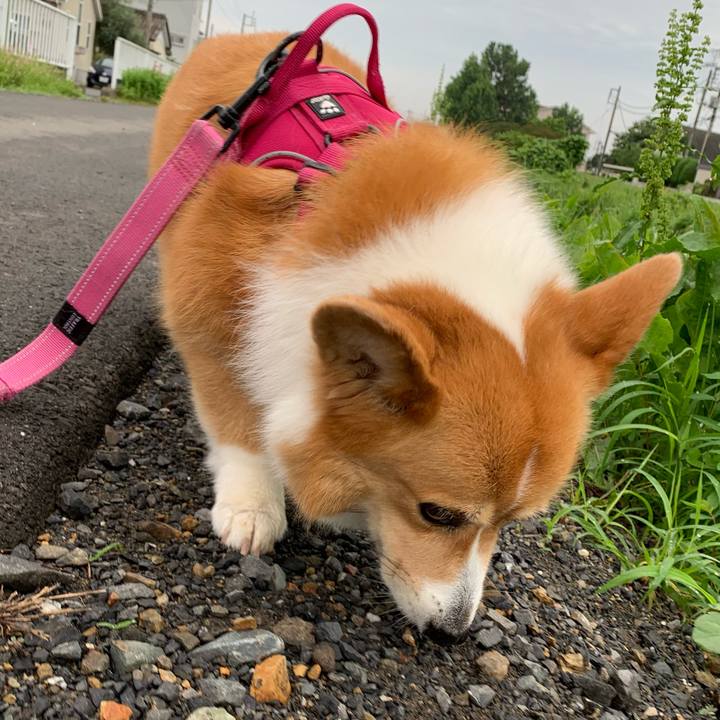 F2045398 26c1 4aba b56c f12f2d035da7 1625521992554