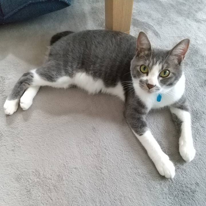 F2049a29 df86 4b64 9b54 e1fce1d4b0c5 1596926942985