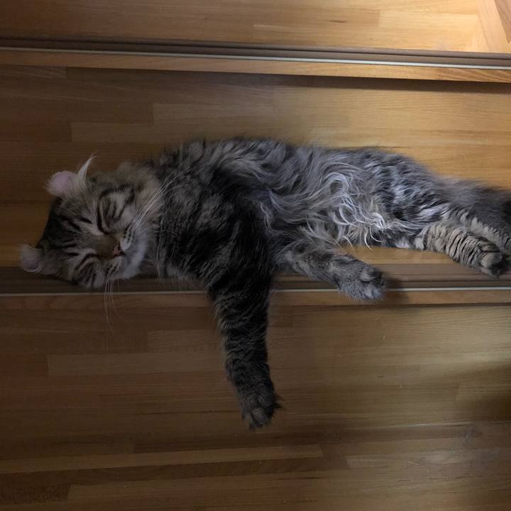 F204b2fb cc40 40fe a7ff 71b8e9c457d1 1533477843362