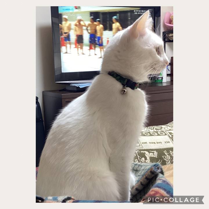 F204bf51 da26 4007 b255 2f9aa7eeec7d 1666402180100