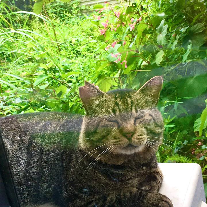 F204c282 e581 4cb7 9fa4 f6c534e4ec25 1630120477057