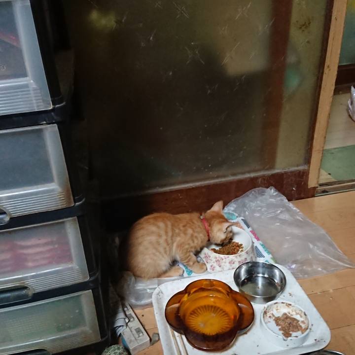 F204ddd8 de39 469b 8c02 c1092e282487 1631270851686