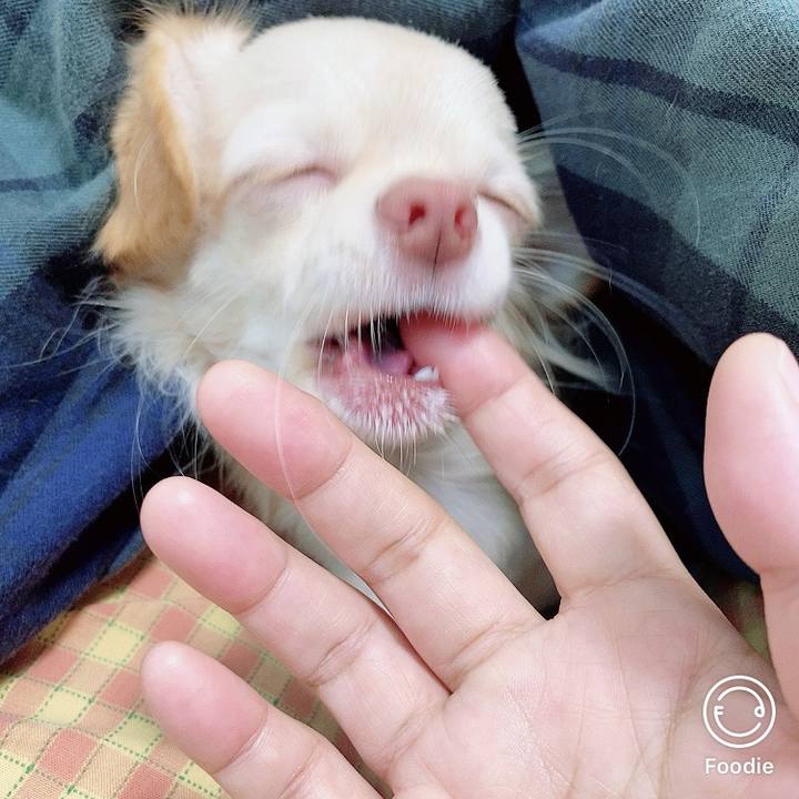 F2050b95 beec 45b7 bf9c ee7f28d15ba8 1603663487882