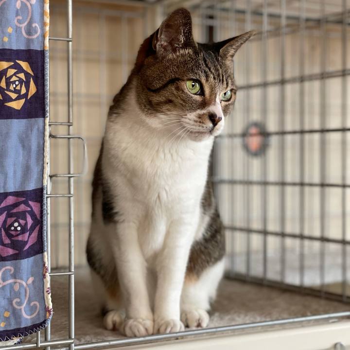 F205109d e4a6 4196 9d38 0b076353a14b 1612748602185