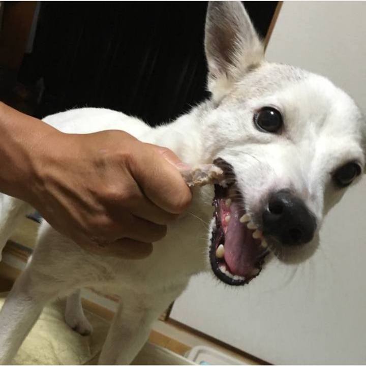 F2051531 ea34 471e a498 f566b7033e49 1759791911425