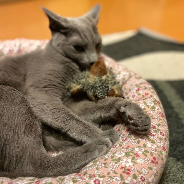 F205420d 25cc 4171 aab0 e5e96d1b1095 1664150916430