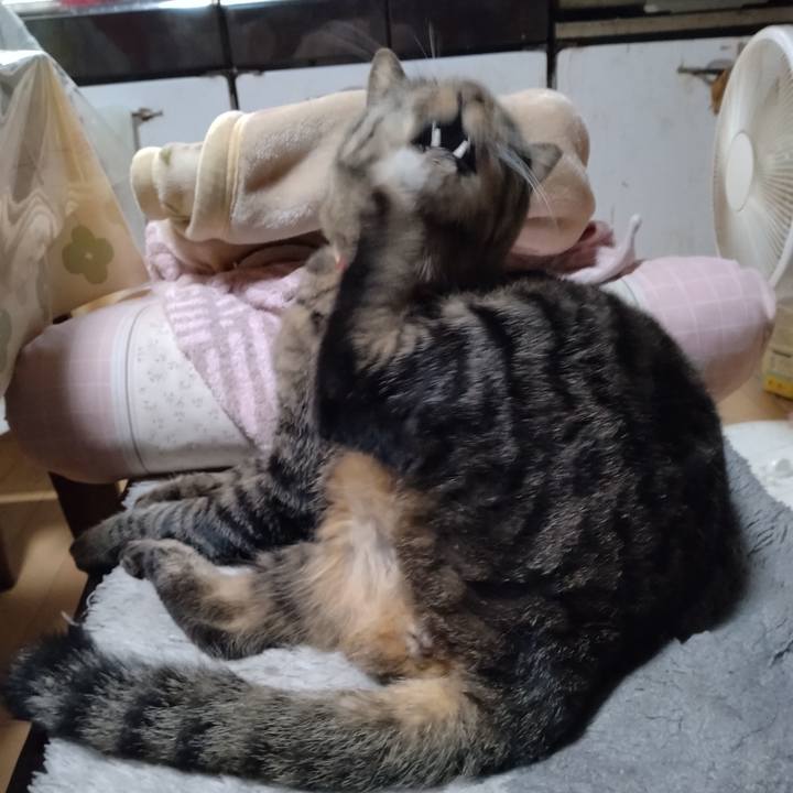 F2054b95 6e1a 48e5 85dc 2f97e8f6e2ed 1670284162520