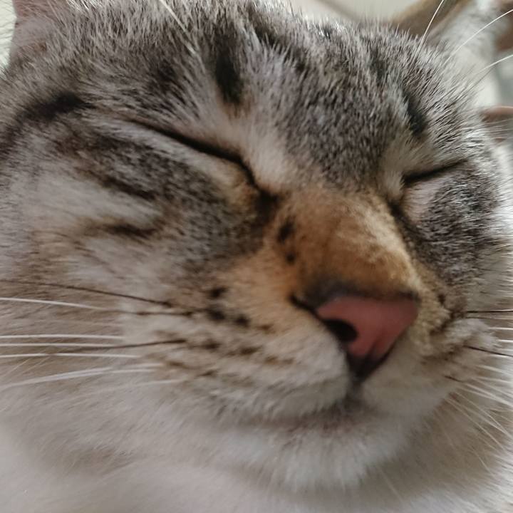 F205523a 5c08 462b 8f30 ccc1af953b09 1556356652693