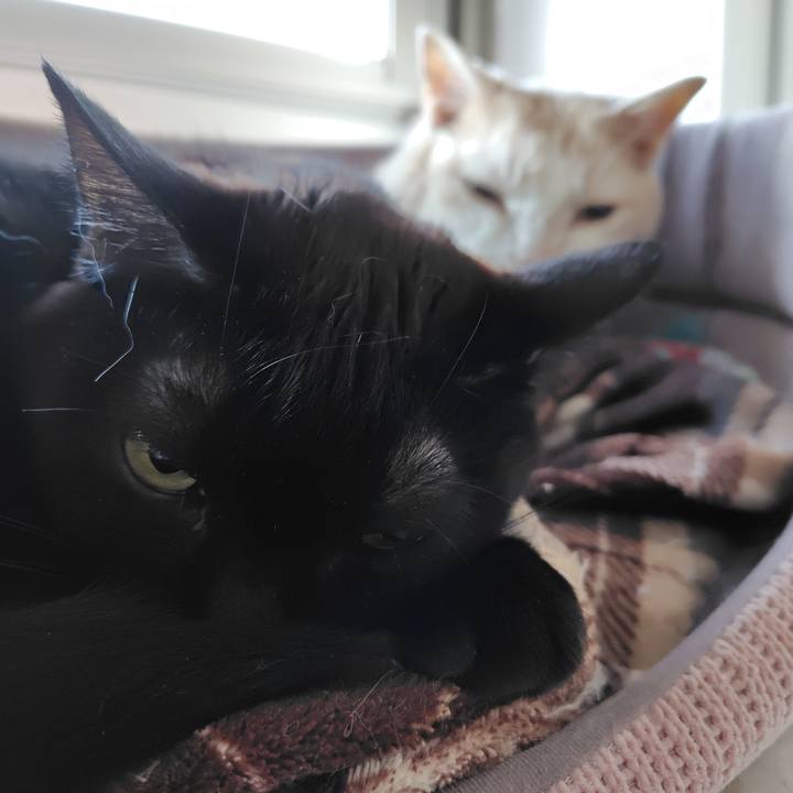 F205acf8 537c 4bd5 8251 fe3dfd6deb29 1738103702200