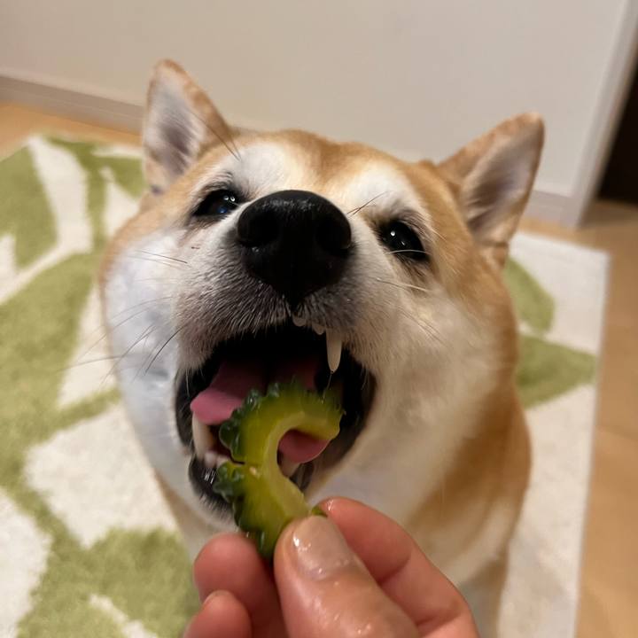 F205bf4f ba9d 4feb 9747 ff392453cd31 1664092549700