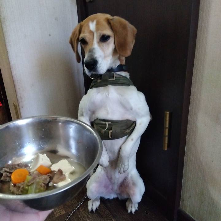 F205cf3c 5347 4ae8 af5e 341cf3ebeb39 1684831941096