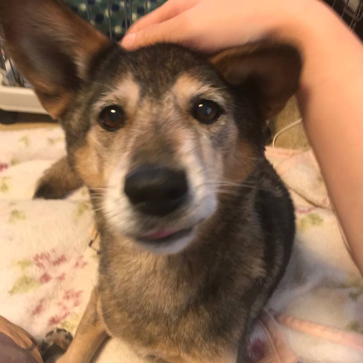 F2061045 45a3 41b4 9b14 3493659e9750 1543829540115