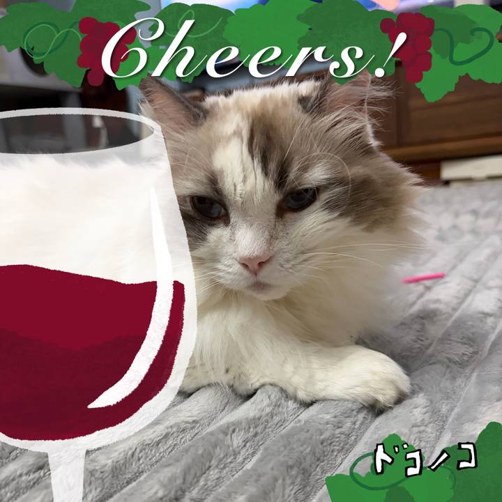 F2066d96 98be 4540 99ea 14170e89394f 1762001204032