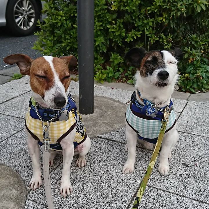 F206730c 4b0b 47df 8205 652f89c588a7 1554594349326