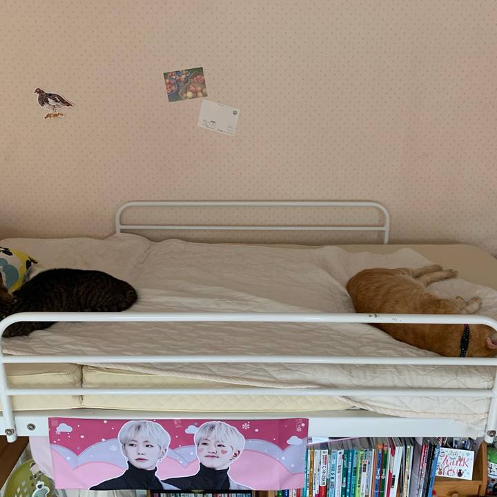 F206c855 8249 4aa1 b01a c1662f005857 1594514993951