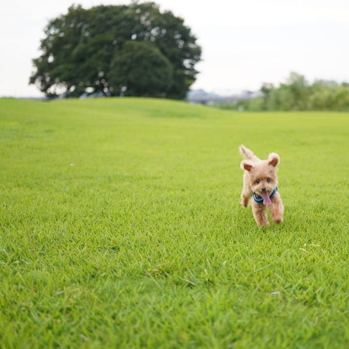 F206d73f 73b5 4c07 a468 cb708d4ed50d 1665298661415