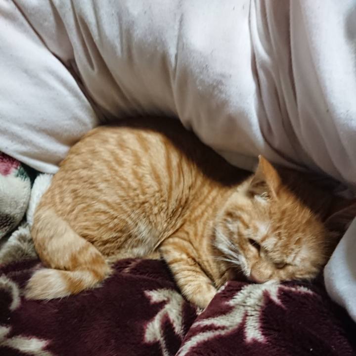 F206da76 638d 4882 a304 28eeccbc7b30 1638189056909